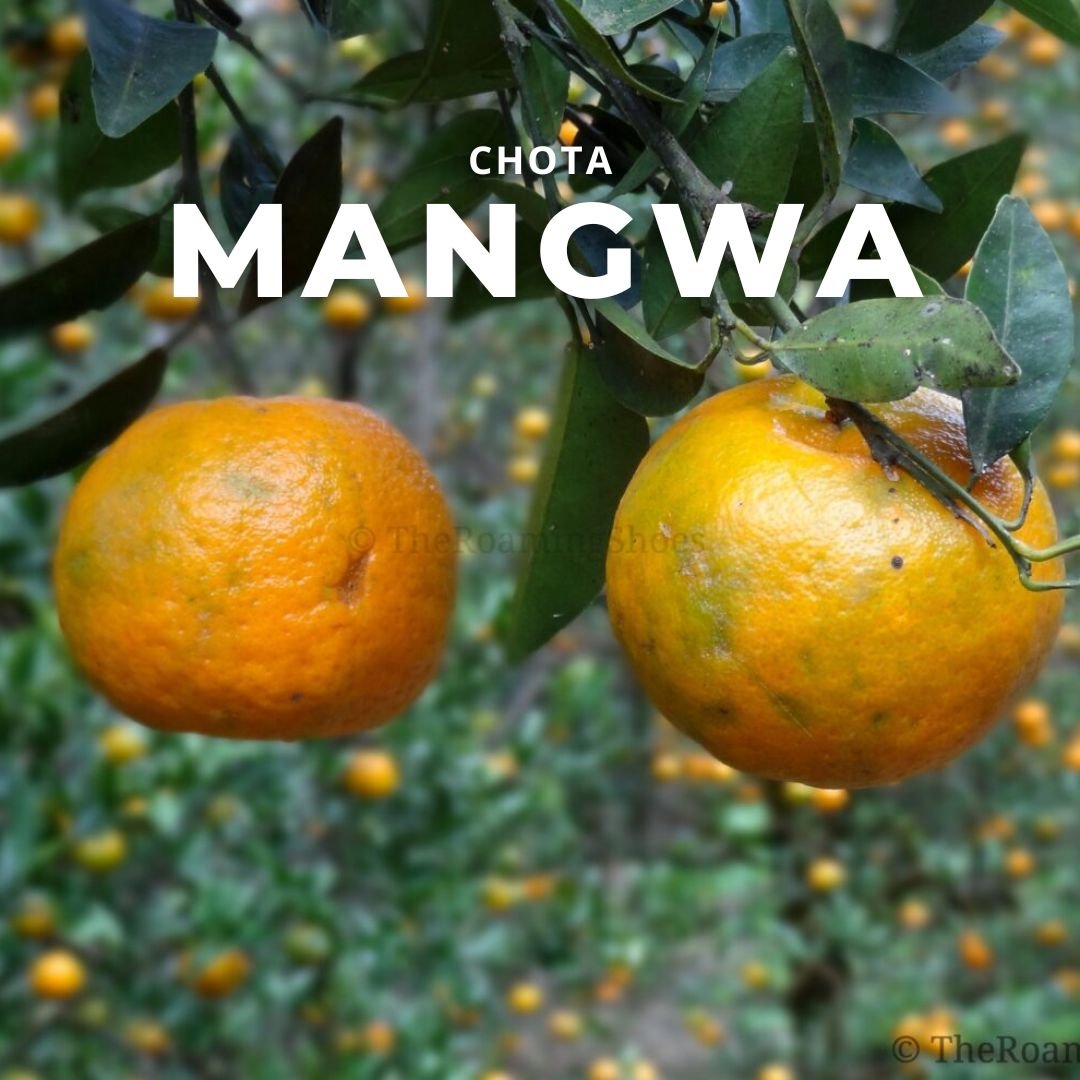 ChotaMangwa