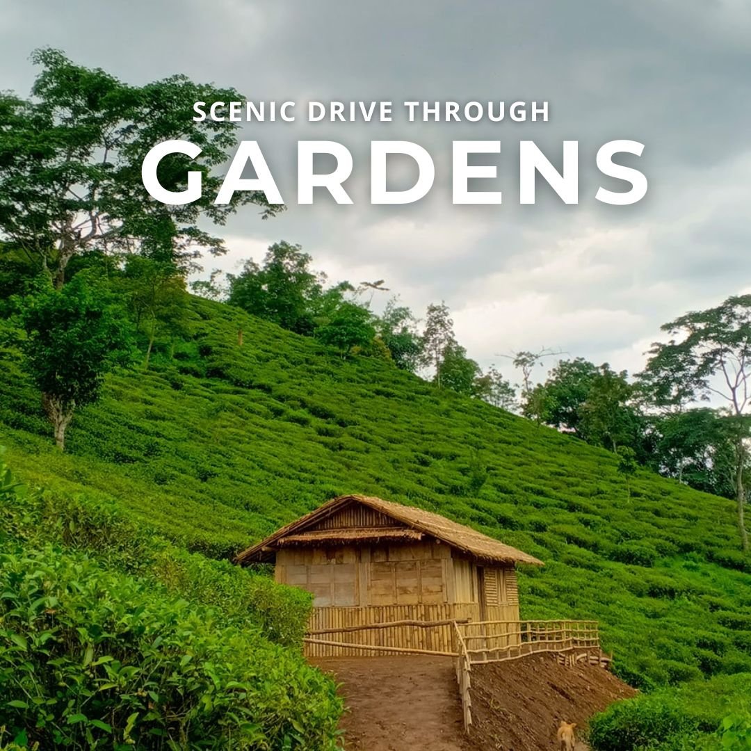 Gardens