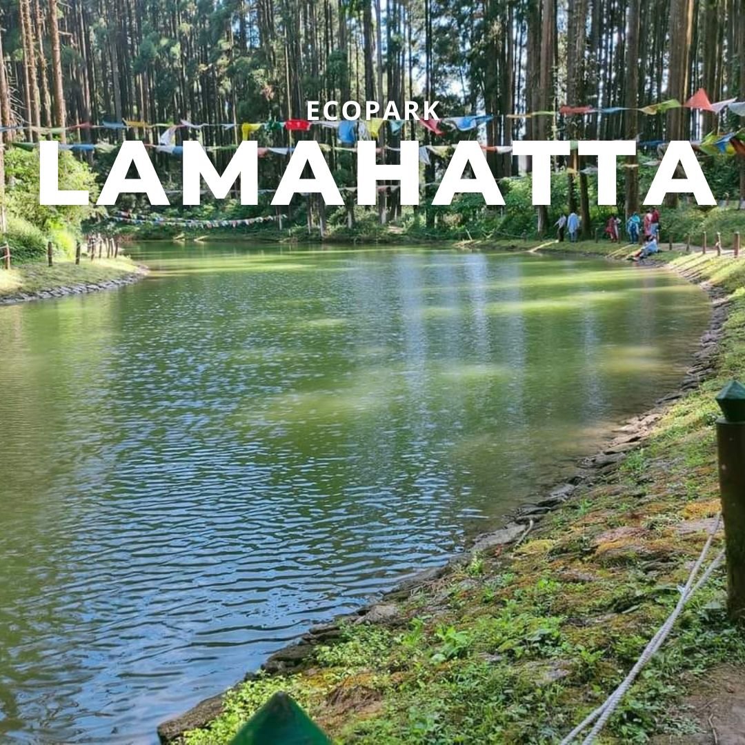 lamahatta